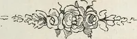 An illustration from Catalogue of fruit and ornamental trees cultivated at the Union Nurseries (1852)