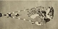 An illustration from Catalogue of the furniture, marbles, bronzes, clocks, candelabra, majolica, porcelain, glass, jewelery, goldsmith's and silversmith's work, ivories, medals, illuminations, miniatures, and objects of art generally, in the Wallace collection (1910)