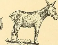 An illustration from Catalogue of games, sectional pictures, toys, puzzles, blocks and novelties (1889)