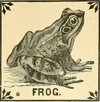 An illustration from Catalogue of games, sectional pictures, toys, puzzles, blocks and novelties (1889)