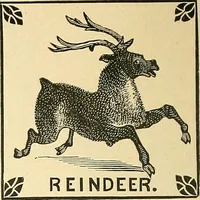 An illustration from Catalogue of games, sectional pictures, toys, puzzles, blocks and novelties (1889)