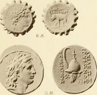 An illustration from Catalogue of Greek coins in the Hunterian collection, University of Glasgow (1899)