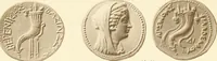 An illustration from Catalogue of Greek coins in the Hunterian collection, University of Glasgow (1899)
