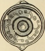An illustration from Catalogue of the Greek and Etruscan vases in the British Museum (1893)