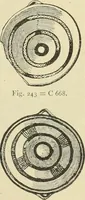 An illustration from Catalogue of the Greek and Etruscan vases in the British Museum (1893)