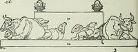 An illustration from Catalogue of an important library of rare and valuable books; incunabula typographica, mostly in original bindings; illustrated books of the XVIth and XVIIIth century; early Americana; Standard works on the fine arts; bibles and liturgical books; fine bindings; Judaica; early books on geography, etc., including Hypnerotomachia Poliphili, 1499; Schatzbehalter, 1491; Terentius, Venezia, 1497; Valturius, 1483; Dürers Hroswitha, Proportion a.o. Holbeins Dance of Death, 1538; The first Holbein Bible; Theuerdank, 1519; Monument du Costume; Janscha-Ziegler, Rheinansichten, etc (1900)