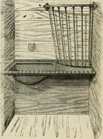 An illustration from Catalogue of improved and patented stable fittings and fixtures, brass, bronzed and nickel plated; poultry yard appliances, dog kennels, door and window guards, &c., &c. (1886)