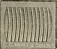 Picture 92 of 190 from Catalogue of improved and patented stable fittings and fixtures, brass, bronzed and nickel plated; poultry yard appliances, dog kennels, door and window guards, &c., &c. (1886), leaf 78