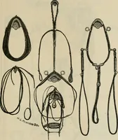 An illustration from Catalogue of improved and patented stable fittings and fixtures, brass, bronzed and nickel plated; poultry yard appliances, dog kennels, door and window guards, &c., &c. (1886)