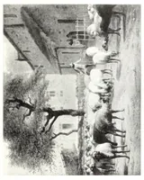 Picture 10 of 18 from Catalogue of the inaugural exhibition : January seventeenth to February twelfth An. Dni. MCMXII (1912), leaf 203