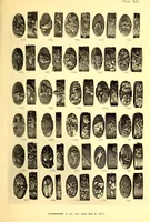 An illustration from Catalogue of a Japanese collection : the property of J.C. Hawkshaw, esq., M.A., of Hollycombe, Liphook (1911)