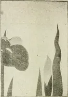 An illustration from Catalogue of Japanese artists' materials / Bunkio Matsuki. (1904)