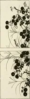 An illustration from Catalogue of Japanese artists' materials / Bunkio Matsuki. (1904)