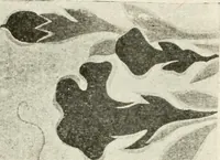 Picture 18 of 39 from Catalogue of Japanese artists' materials / Bunkio Matsuki. (1904), leaf 29