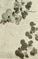 An illustration from Catalogue of Japanese artists' materials / Bunkio Matsuki. (1904)