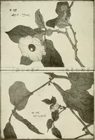 An illustration from Catalogue of Japanese artists' materials / Bunkio Matsuki. (1904)