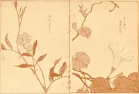An illustration from Catalogue of Japanese artists' materials / Bunkio Matsuki. (1908)
