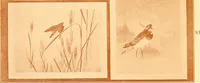An illustration from Catalogue of Japanese artists' materials / Bunkio Matsuki. (1908)