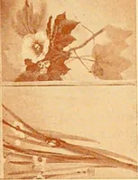 An illustration from Catalogue of Japanese artists' materials / Bunkio Matsuki. (1908)