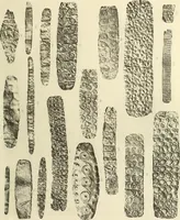 An illustration from Catalogue of the jewellery, Greek, Etruscan, and Roman, in the departments of antiquities, British Museum (1911)