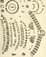 An illustration from Catalogue of the jewellery, Greek, Etruscan, and Roman, in the departments of antiquities, British Museum (1911)