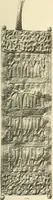 An illustration from Catalogue of the jewellery, Greek, Etruscan, and Roman, in the departments of antiquities, British Museum (1911)
