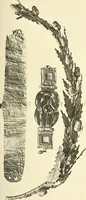 An illustration from Catalogue of the jewellery, Greek, Etruscan, and Roman, in the departments of antiquities, British Museum (1911)