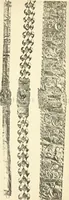 An illustration from Catalogue of the jewellery, Greek, Etruscan, and Roman, in the departments of antiquities, British Museum (1911)