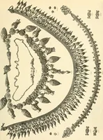 An illustration from Catalogue of the jewellery, Greek, Etruscan, and Roman, in the departments of antiquities, British Museum (1911)