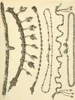 An illustration from Catalogue of the jewellery, Greek, Etruscan, and Roman, in the departments of antiquities, British Museum (1911)