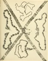 An illustration from Catalogue of the jewellery, Greek, Etruscan, and Roman, in the departments of antiquities, British Museum (1911)