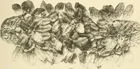 An illustration from Catalogue of the jewellery, Greek, Etruscan, and Roman, in the departments of antiquities, British Museum (1911)