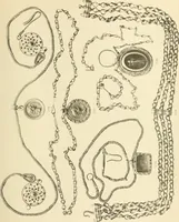 An illustration from Catalogue of the jewellery, Greek, Etruscan, and Roman, in the departments of antiquities, British Museum (1911)