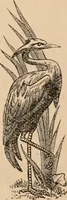 An illustration from Catalogue of the loan art and historic exhibition, at the Walker Mansion, Oakland, May 11-15, 1880 (1880)