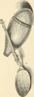 An illustration from Catalogue of mediæval & later antiquities contained in the Mayer Museum, including the Mather collection of miniatures and medals relating to the Bonaparte family (1883)