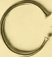 Picture 2 of 44 from Catalogue of the mediaeval ivories, enamels, jewellery, gems and miscellaneous objects bequeathed to the museum by Frank McClean (1912), leaf 144