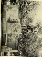 An illustration from Catalogue of a memorial exhibition of the works of Augustus Saint-Gaudens, Carnegie Institute, April twenty-ninth through June thirtieth, nineteen hundred and nine (1909)