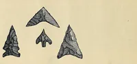An illustration from Catalogue of old coins, stamps, curios (1890)