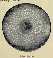 An illustration from Catalogue of old coins, stamps, curios (1890)