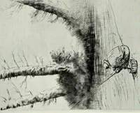 Picture 32 of 70 from A catalogue of paintings, drawings, etchings and lithographs (1922), leaf 119