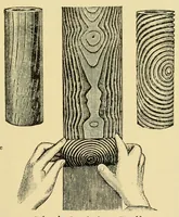 An illustration from Catalogue of paints, oils, varnishes, brushes, artists' materials, plate and window glass, mirrors and beveled plates, painters' and paper hangers' supplies. (1901)