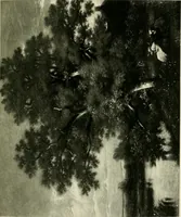 An illustration from Catalogue of paintings and sculpture in the collection of Charles T. Yerkes, esq., New York (1904)
