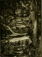 An illustration from Catalogue of paintings and sculpture in the collection of Charles T. Yerkes, esq., New York (1904)