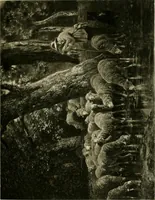 An illustration from Catalogue of paintings and sculpture in the collection of Charles T. Yerkes, esq., New York (1904)