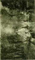An illustration from Catalogue of paintings and sculpture in the collection of Charles T. Yerkes, esq., New York (1904)
