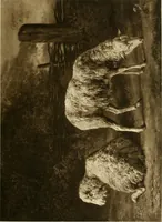 An illustration from Catalogue of paintings and sculpture in the collection of Charles T. Yerkes, esq., New York (1904)