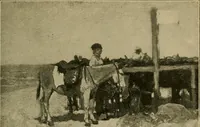 An illustration from Catalogue of the pictures, drawings, etchings and objects of art (1906)