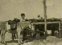 An illustration from Catalogue of the pictures, drawings, etchings and objects of art (1910)
