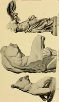 An illustration from Catalogue of plaster cast reproductions from antique, medieval and modern sculpture : subjects for art schools. (1901)