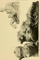 Picture 61 of 726 from Catalogue of plaster cast reproductions from antique, medieval and modern sculpture : subjects for art schools. (1901), leaf 122